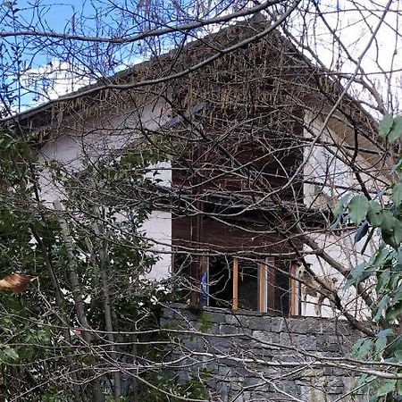 Gemuetliche Ferienwohnung Mit Garten Biasca Zewnętrze zdjęcie