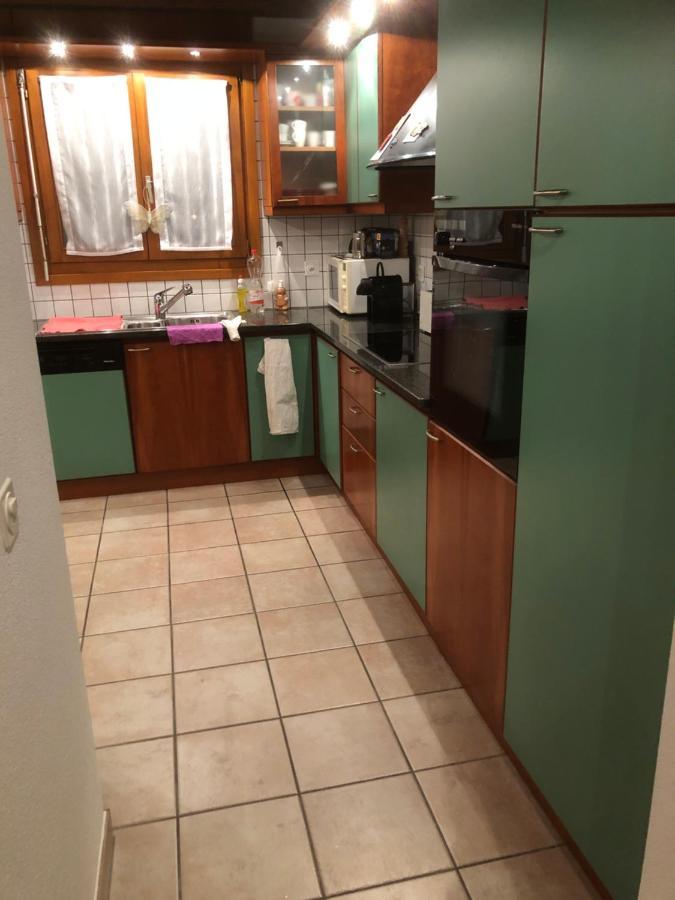 Gemuetliche Ferienwohnung Mit Garten Biasca Zewnętrze zdjęcie